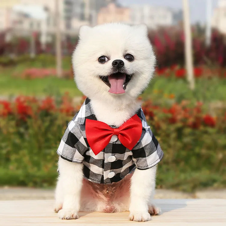 Cão de estimação roupas xadrez camisa terno gravata vestido primavera verão filhote de cachorro casaco teddy bear pomeranian colete pequeno-médio cão gato animal de estimação traje