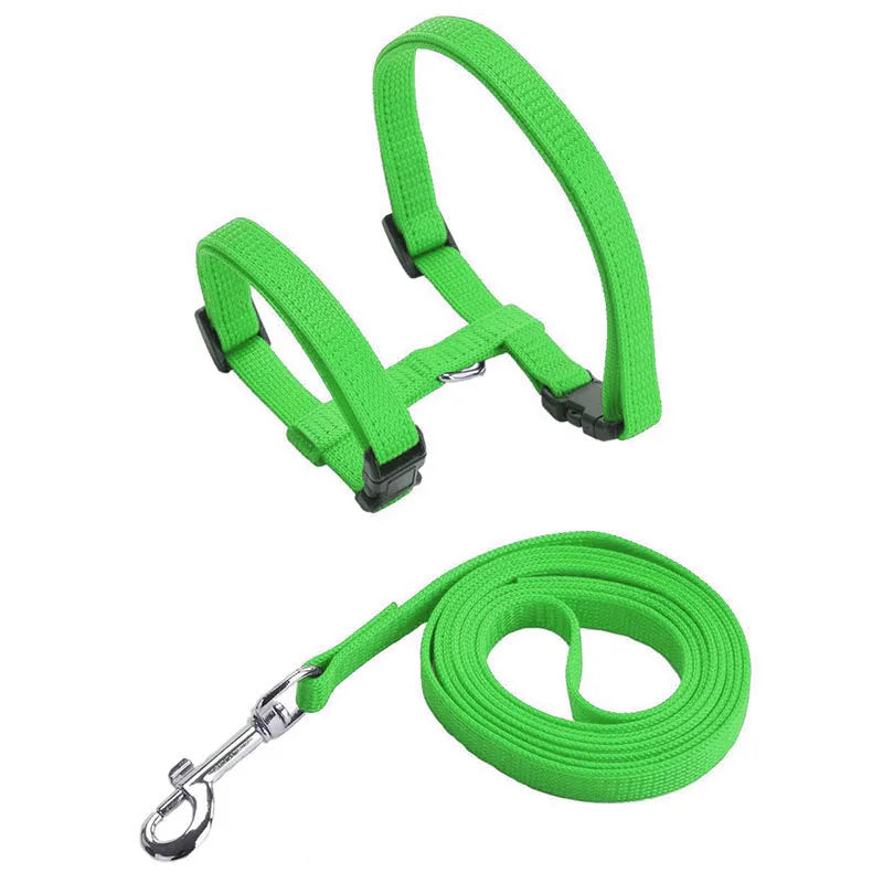 Coleira ajustável para gatos, coleira aconchegante de nylon para coelho, gatinhos, conjunto de coleira para cães e gatos, produtos para animais de estimação Kasa & Pet