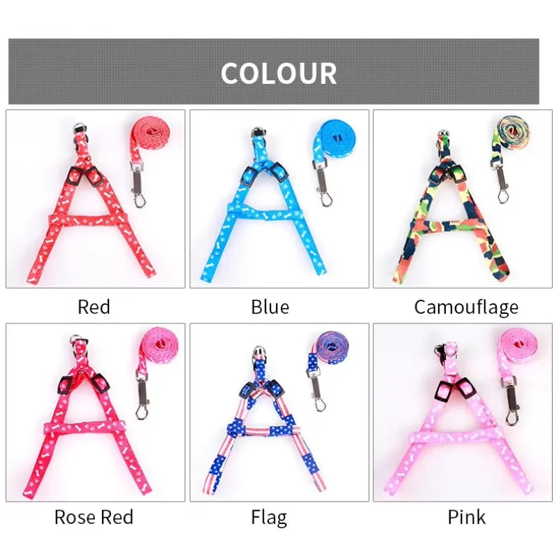 Coleira para Cães Pequenos, Coleiras para Filhotes, Conjunto de Coleira e Peitoral para Teddy, Conjunto de Corda de Guia Fofa