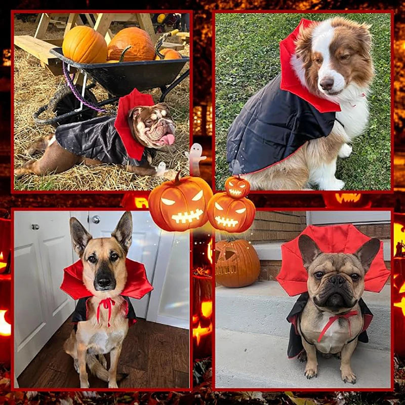 Fantasia de Halloween para Gatos e Cães, Capa de Vampiro Ajustável, Acessórios de Fantasia para Animais de Estimação