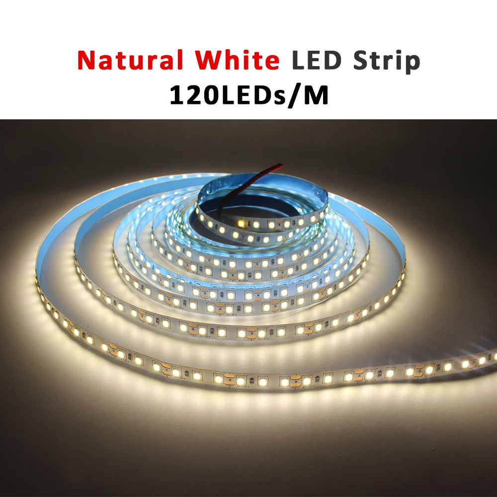 Fita de LED 12V 5m SMD 2835 5mm 8mm, Fita Flexível para Iluminação Decorativa Interna Kasa & Pet