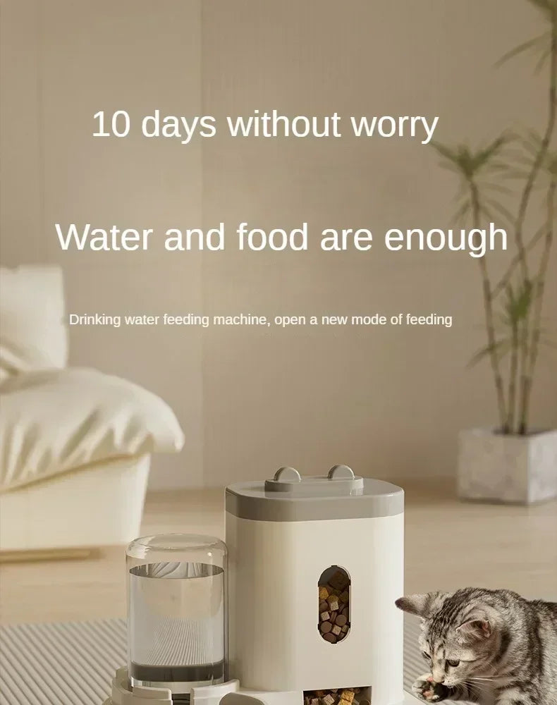 Comedouro Automático para Gatos e Cães com Fonte de Água, Tigela Elevada de Grande Capacidade para Animais de Estimação, Acessórios para Bebedouro de Gatos