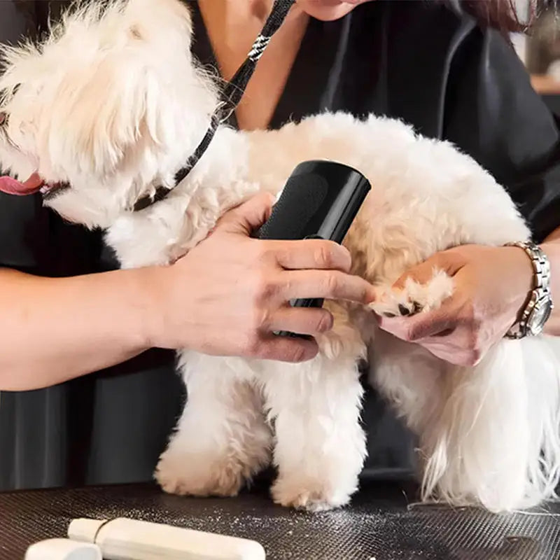 Escova Profissional para Remoção de Pelos de Animais, Escova Multifuncional Ergonômica para Cães, Ferramenta de Remoção de Pelos