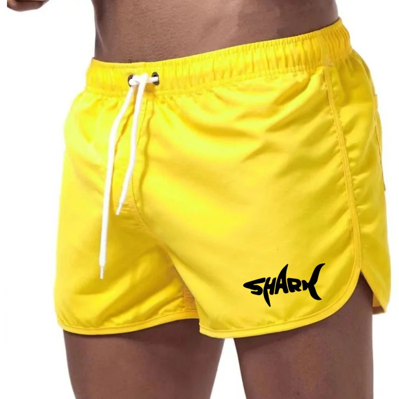 Men's Summer Mesh Quick-Drying Sports Shorts Casual Breathable Beach Pants for Outdoor Running Fitness