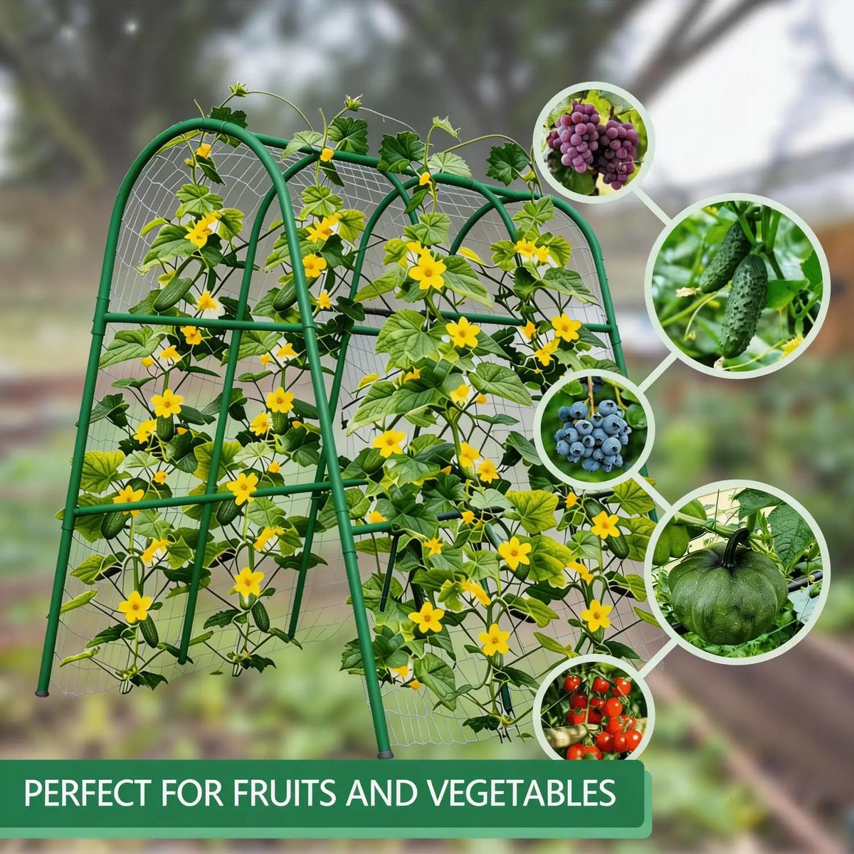 Arco de Jardim com Treliça para Canteiros Elevados, Suporte para Plantas como Pepinos, Melões, Uvas, Rosas e Vegetais Trepadores