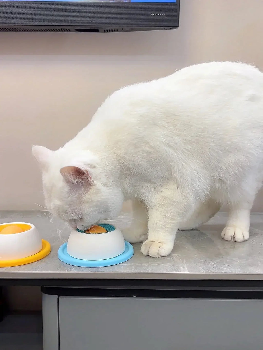 Brinquedo Interativo para Pets: Dispensador de Alimentação Lenta para Enriquecimento e Treinamento, Acessório para Cães, Gatos e Filhotes