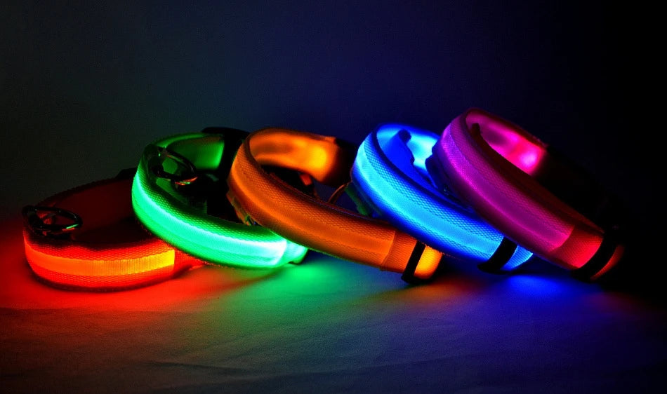 Nylon led noite segurança piscando brilho no escuro trela do cão cães luminoso fluorescente coleira do cão de estimação