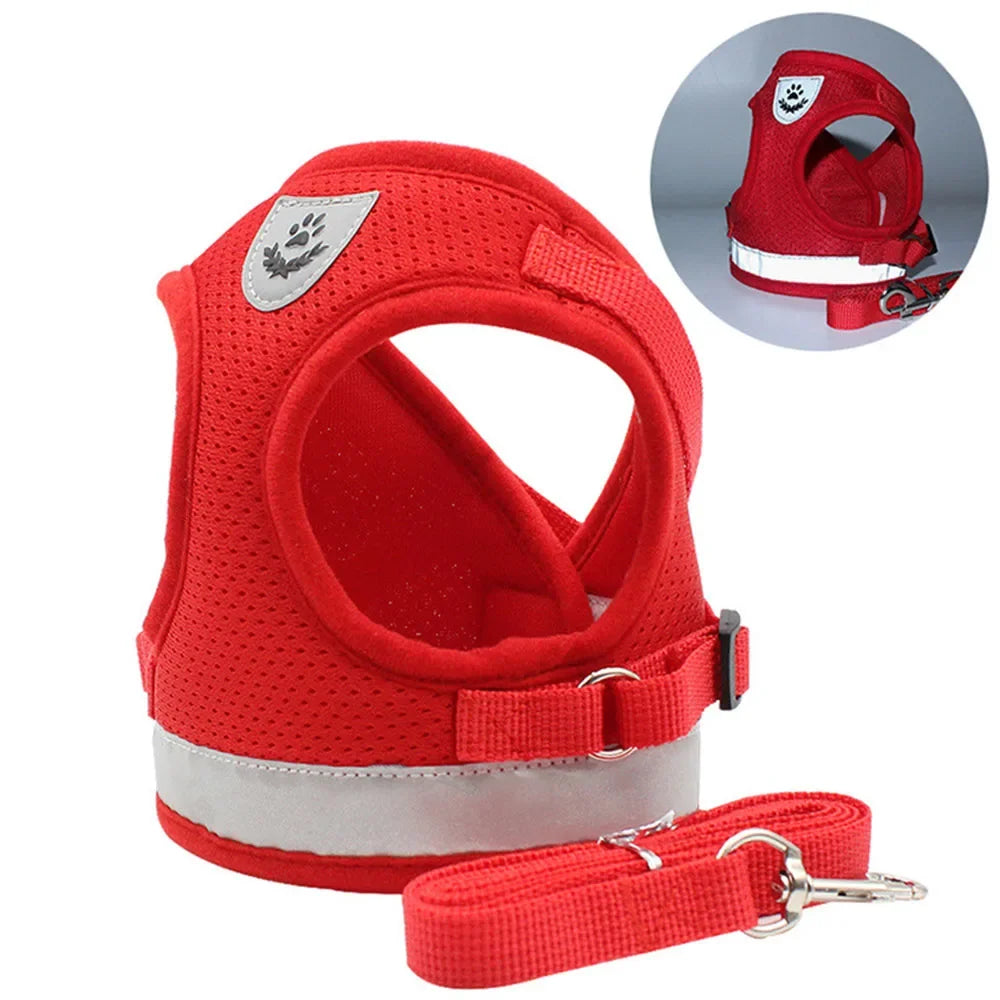 Conjunto de Coleira para Gato, Colete Ajustável Refletivo Anti-Fuga, Coleira para Cães Pequenos, Suprimentos para Filhotes e Gatos