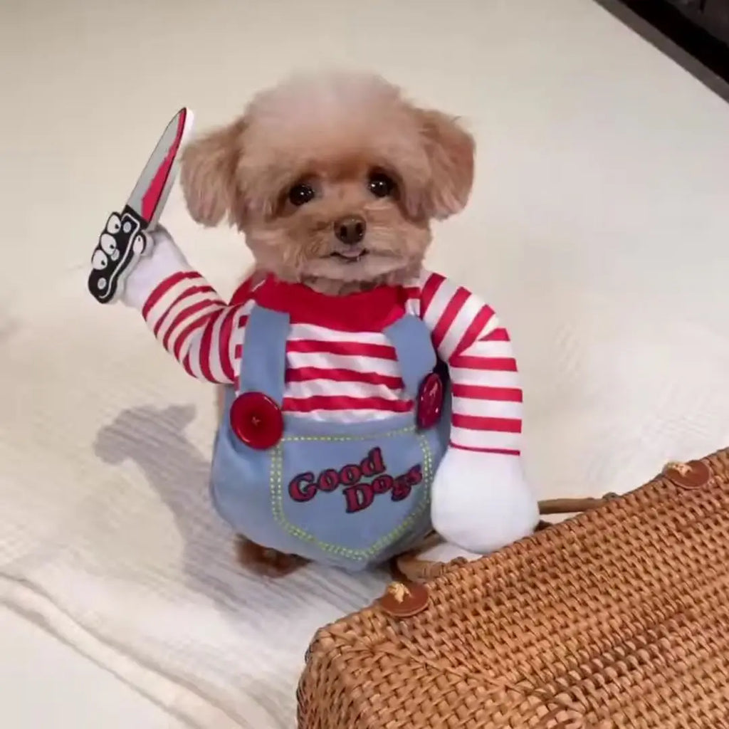 Fantasia de Halloween para Animais de Estimação – Vestido para Cães Pequenos e Médios – Roupa Divertida e Estilosa para Cães e Gatos Brincando com Roupas Engraçadas