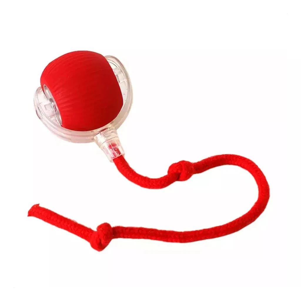 Automatic Toy for Cats Interactive Ball with Motion Sensor and Fake Tail Safe Design That Doesn't Hurt
