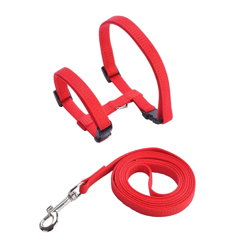 Coleira ajustável para gatos, coleira aconchegante de nylon para coelho, gatinhos, conjunto de coleira para cães e gatos, produtos para animais de estimação