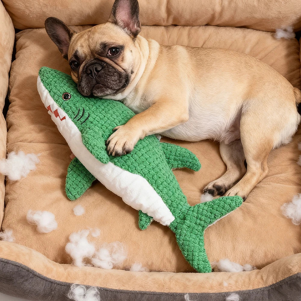 Brinquedo interativo de pelúcia resistente à mastigar para animais de estimação com som, formato de papagaio, adequado para animais de estimação grandes, médios e pequenos como gatos e cães, tecido de camada dupla, ai