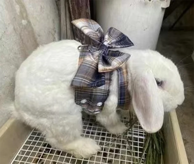 Coelho jk vestidos e trela conjuntos de malha xadrez pet colete arnês para gatos coelho verão pequenos animais roupas coelhos acessórios