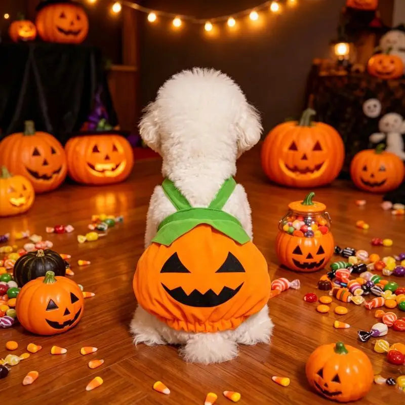 Fantasia de Abóbora para Animais de Estimação de Halloween, Vestido Fofo para Pets, Roupa Engraçada de Abóbora para Cães Pequenos, Gatos, Teddy, Poodle, Bichon, Roupas para Festa