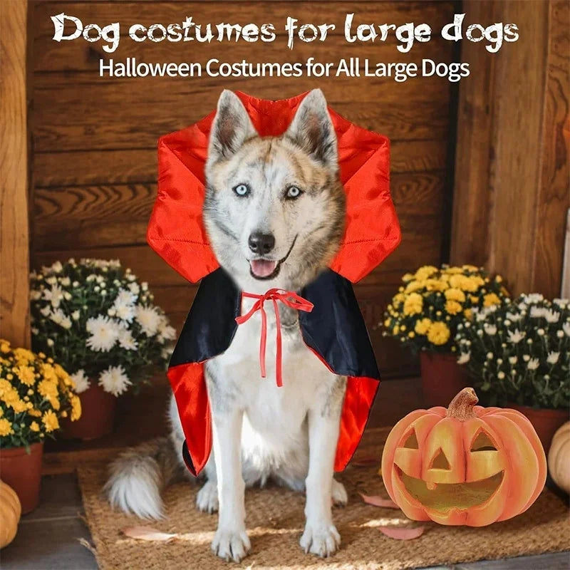 Fantasia de Halloween para Animais de Estimação, Capa de Vampiro em Poliéster, Fantasia de Transformação para Gato e Cão, Capa de Bruxa, Fantasia Ajustável para Festivais e Role-playing.