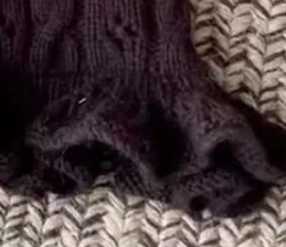 Outono e inverno pet vestido de malha macio e quente colete de lã teddy gato casaco filhote de cachorro roupas para cães pequenos