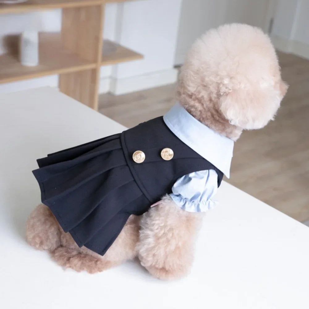 Bonito uniforme escolar plissado para Pet, camisa do cão, gato e cão roupas, saia de pelúcia, INS, outono, inverno