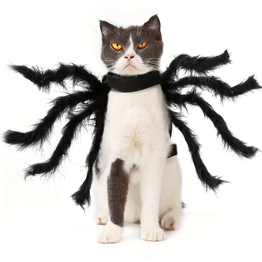 Fantasia de Aranha de Halloween para Gatos e Cães, Roupa Engraçada para Cães e Gatos, Acessórios Divertidos para Festas e Feriados
