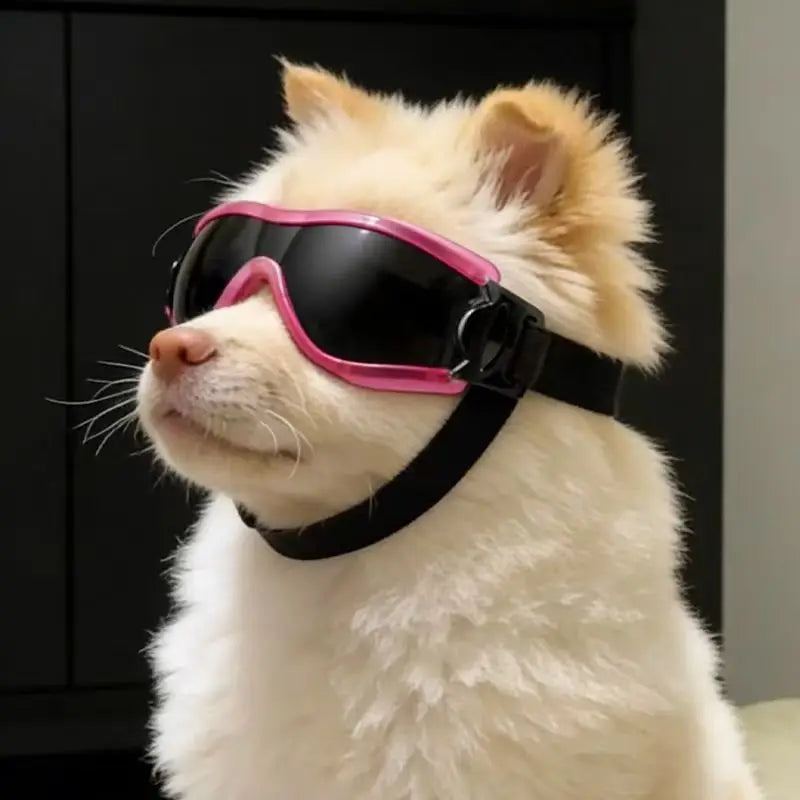Óculos de Proteção para Cães Pequenos e Médios com Proteção UV e à Prova de Vento, Óculos de Sol para Animais de Estimação com Alça Ajustável