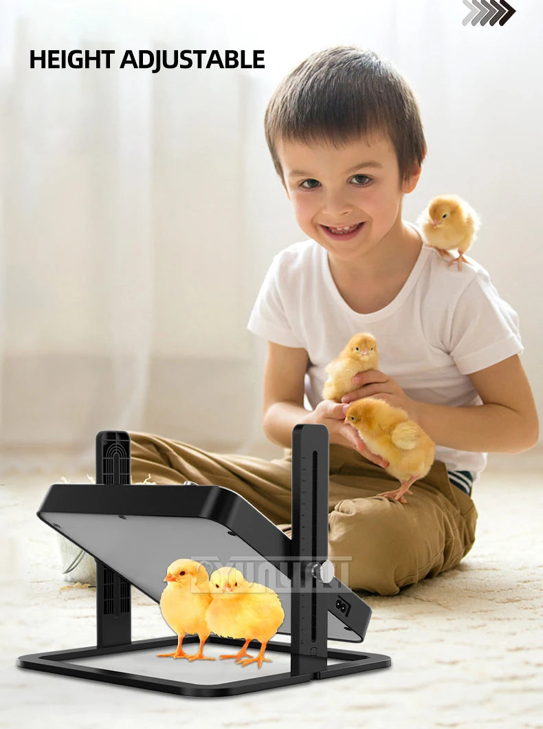 Placa de aquecimento para animais de estimação temperatura ajustável aquecedor para animais de estimação design aquecedor para galinhas cães gatos pássaros 2025 novo