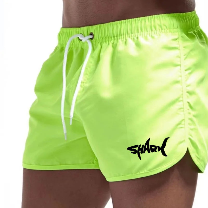 Men's Summer Mesh Quick-Drying Sports Shorts Casual Breathable Beach Pants for Outdoor Running Fitness