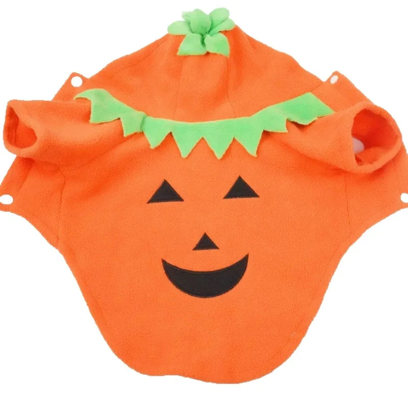 Fantasia de Abóbora para Cães, Oferta Imperdível de Halloween, Roupa Casual para Outono/Inverno.