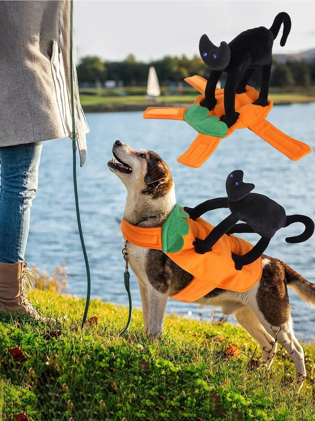 Halloween Pumpkin Pet Costume, Trajes de gato preto para cães, Cosplay para animais de pequeno a grande porte