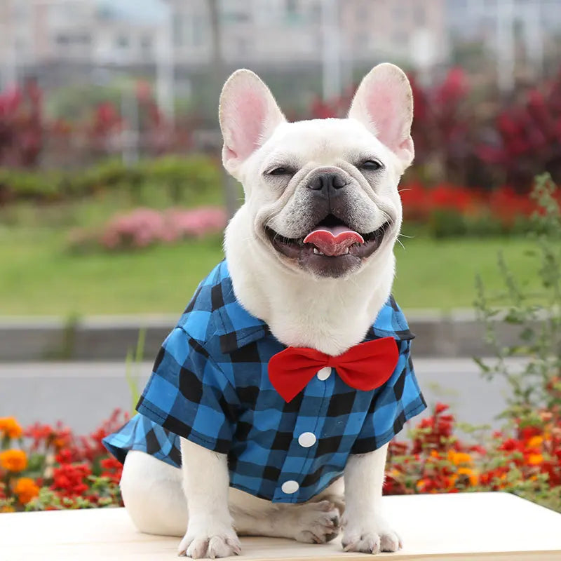 Cão de estimação roupas xadrez camisa terno gravata vestido primavera verão filhote de cachorro casaco teddy bear pomeranian colete pequeno-médio cão gato animal de estimação traje
