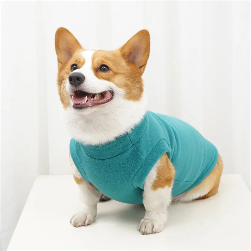 Lã quente corgi cão hoodie undercoat inverno roupas para animais de estimação pequeno médio cães francês bulldog terrier pulôver maschas camisola