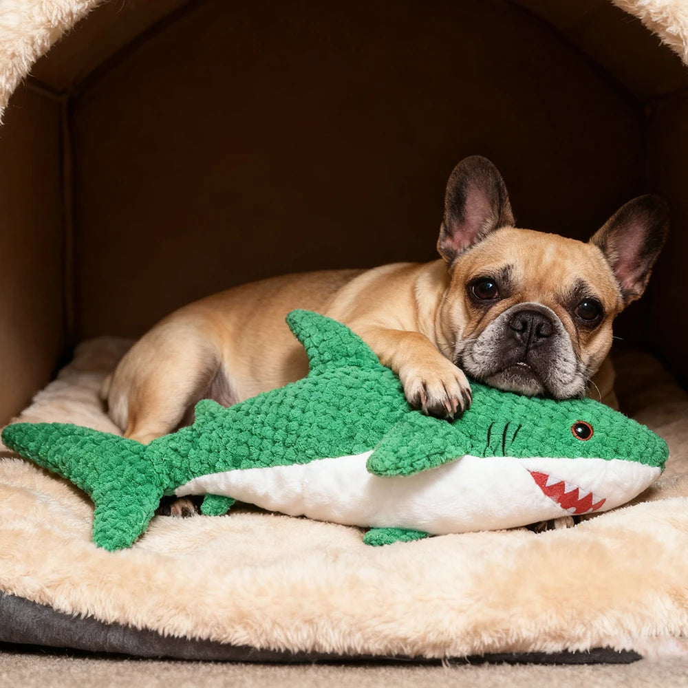 Brinquedo interativo de pelúcia resistente à mastigar para animais de estimação com som, formato de papagaio, adequado para animais de estimação grandes, médios e pequenos como gatos e cães, tecido de camada dupla, ai