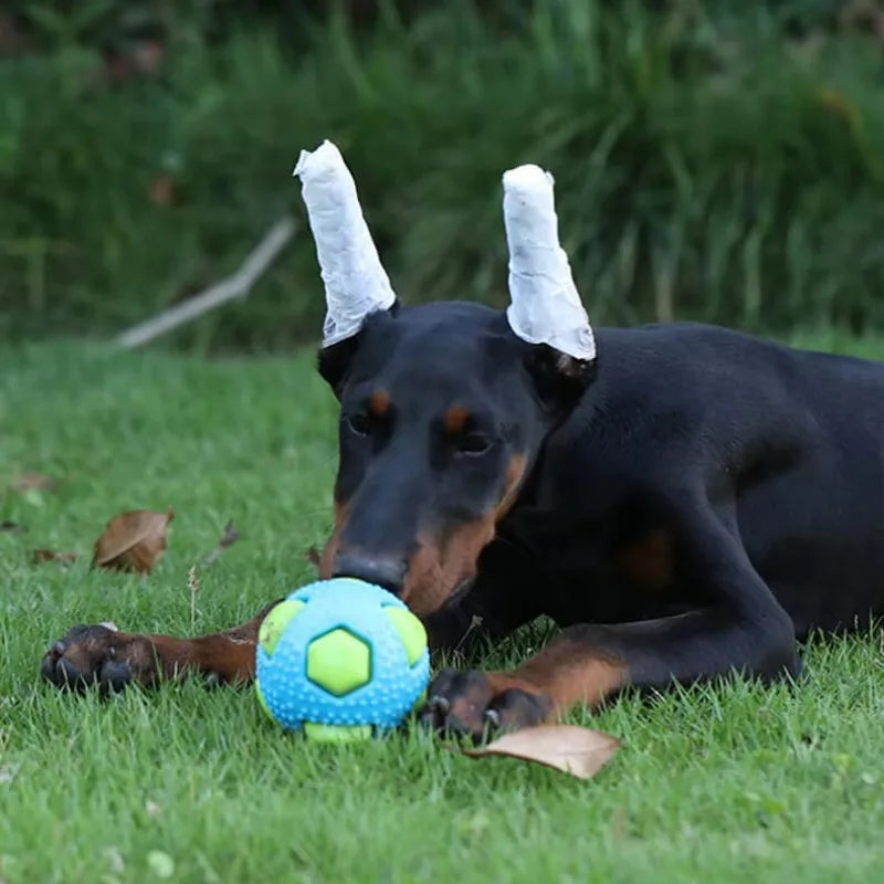 Pet tpr brinquedo bola interação animais de estimação aliviar o tédio mordida resistência pequeno cão de tamanho médio moagem dormir ventilação bola flash