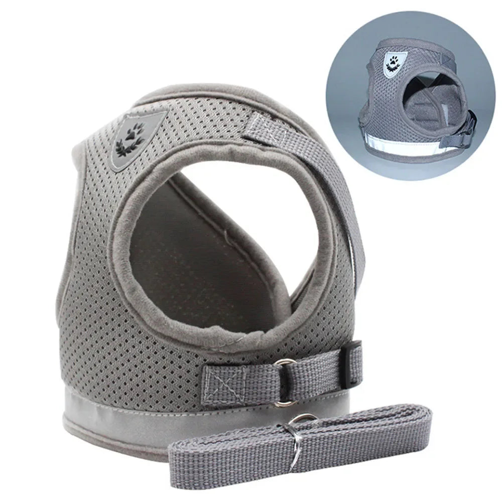 Conjunto de Coleira para Gato, Colete Ajustável Refletivo Anti-Fuga, Coleira para Cães Pequenos, Suprimentos para Filhotes e Gatos