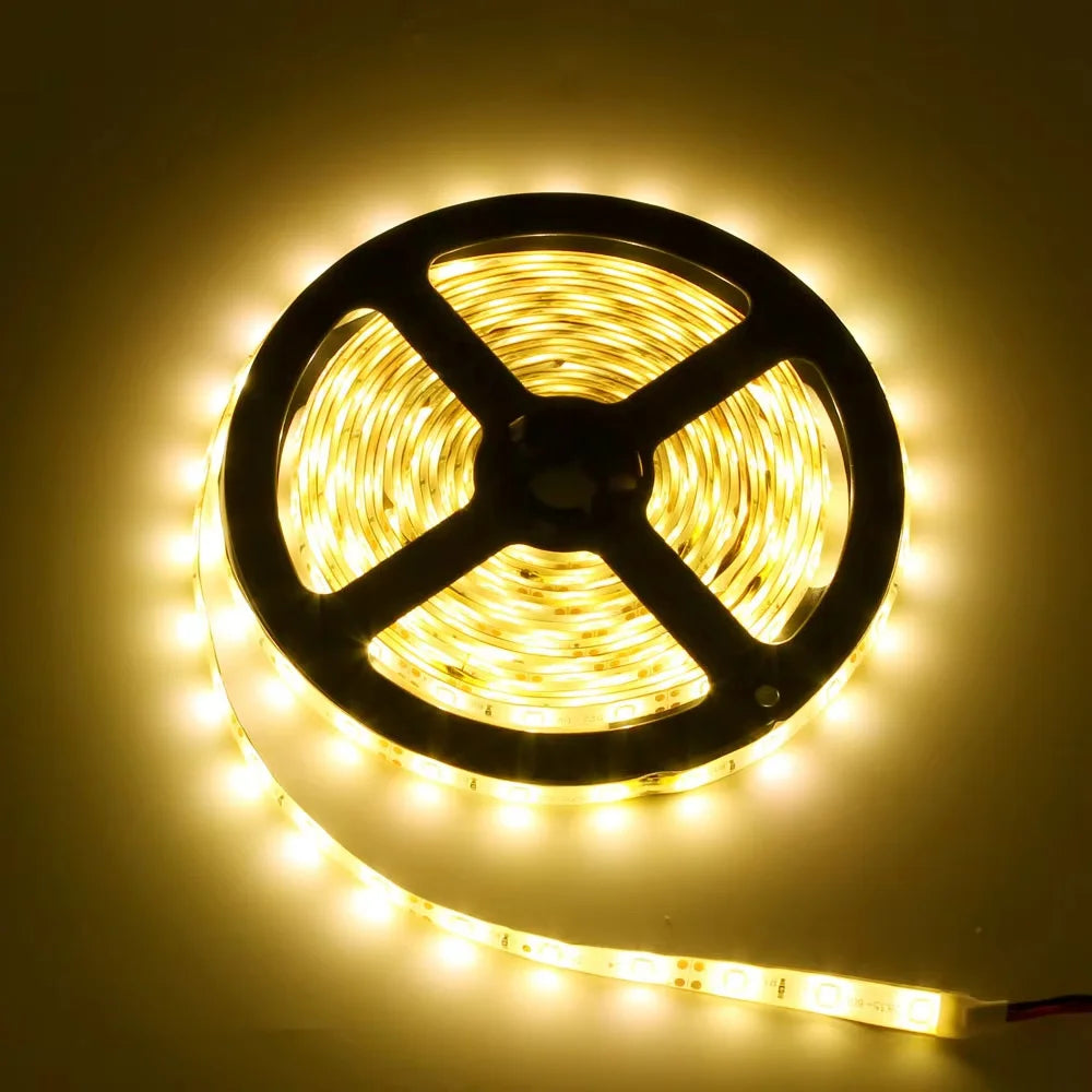 Fita de LED Flexível DC 12V 5m SMD 2835 300 LEDs, Guirlanda de Natal, Fita de Diodo, Pacote com 1 Unidade Kasa & Pet
