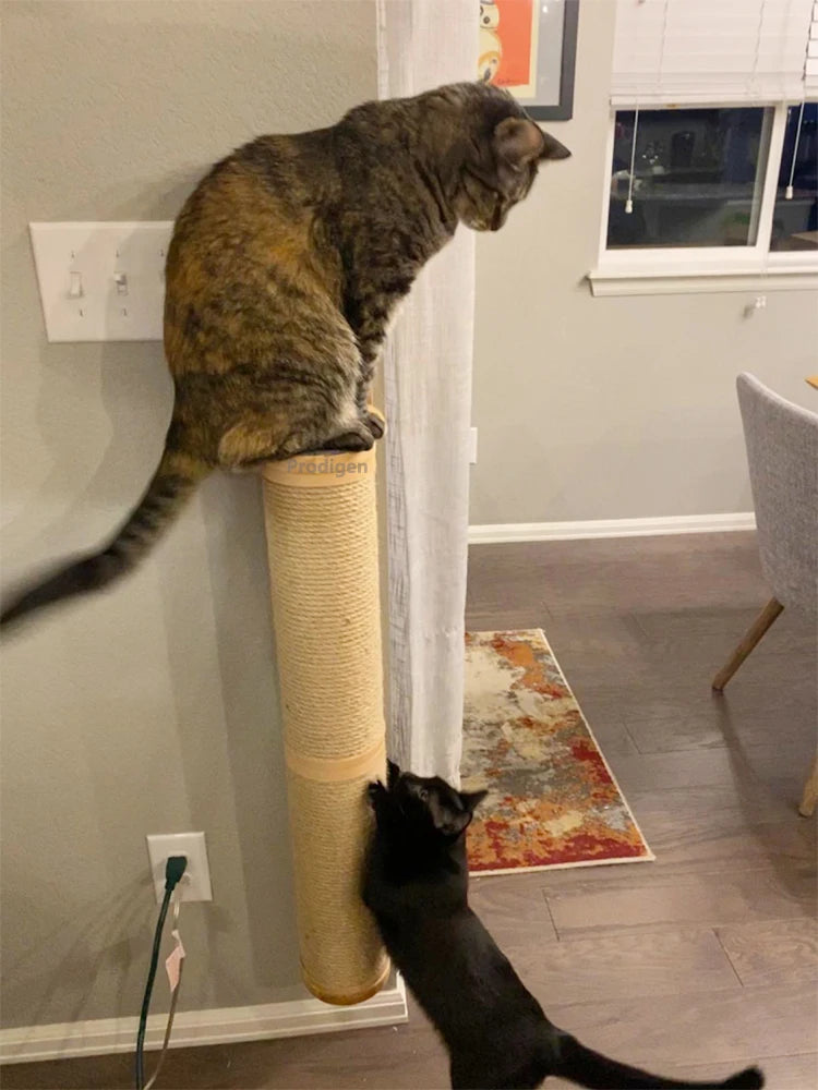 Pós de arranhar para gatos montado na parede, móveis de parede, árvore de madeira para gatos grandes, colunas mais grossas para multi-funções