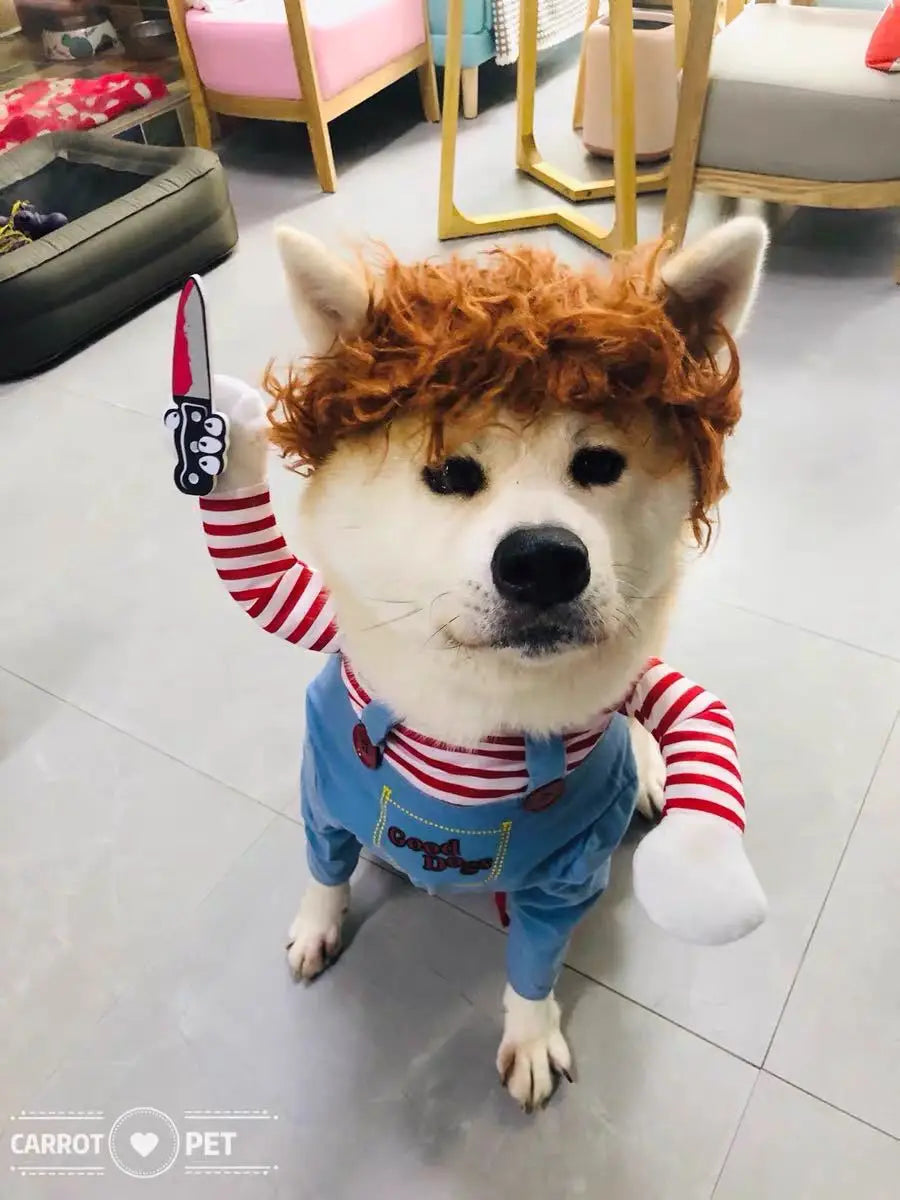 Fantasia de Halloween para Animais de Estimação – Vestido para Cães Pequenos e Médios – Roupa Divertida e Estilosa para Cães e Gatos Brincando com Roupas Engraçadas
