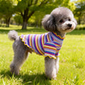 Roupas para Cães e Filhotes: Colete, Camiseta, Camisa, Vestido e Saia Fofos de Primavera, Camiseta de Base e Fantasia para Cães