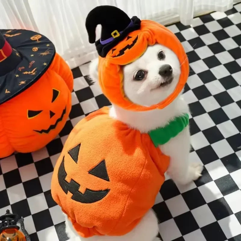 Fantasias de Halloween para Cães, Traje Engraçado de Abóbora Lanterna, Roupa de Transformação para Cães e Gatos de Duas Patas, Chapéu de Abóbora Fofo, Jaqueta para Cães