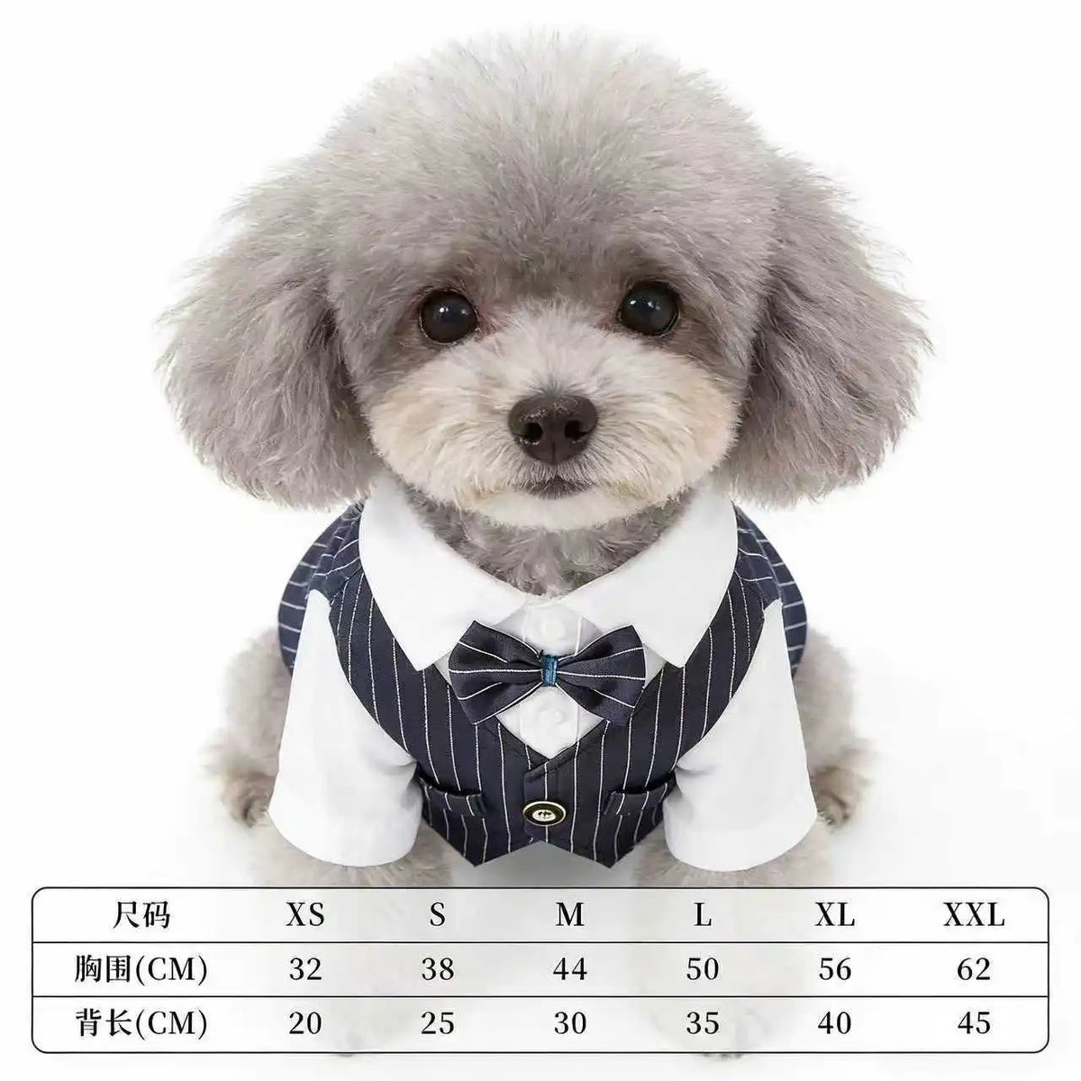 Traje de Primavera para Cães de Estimação: Camisa e Colete de Smoking para Casamento, Fantasia de Cavalheiro para Teddy, Bichon e Cães Pequenos
