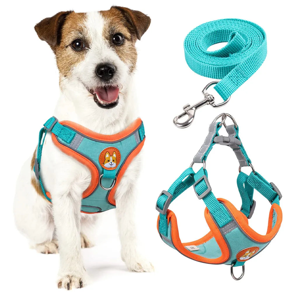 Coleira Peitoral Ajustável Para Cães Gatos Passeio Confortável Material Nylon Ergonômico Seguro