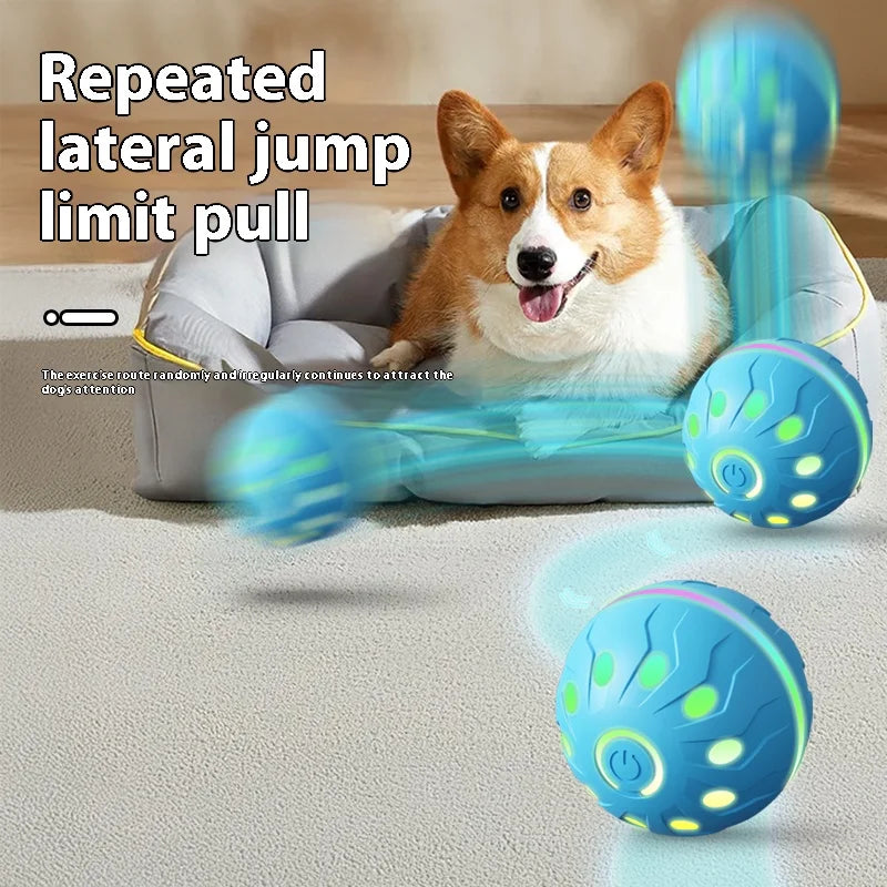 Bola de brinquedo para animais de estimação, bola elétrica para cães, brinquedo interativo recarregável por USB, bom companheiro para cães