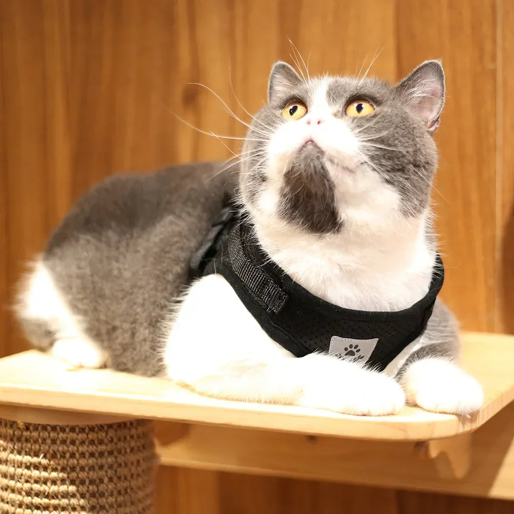 Conjunto de coleira de chumbo para gatos, ajustável, reflexivo, à prova de fuga, colete de malha para animais de estimação, coleira para cachorro, cachorro pequeno, gato, suprimentos para animais de estimação
