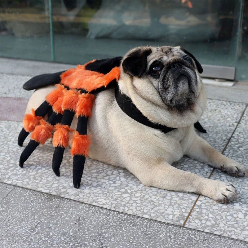 Red Eyed Spider Chest e Back Transformation Traje, Pet roupas, Halloween Party Supplies, Role Playing, bonito, gatos, cão
