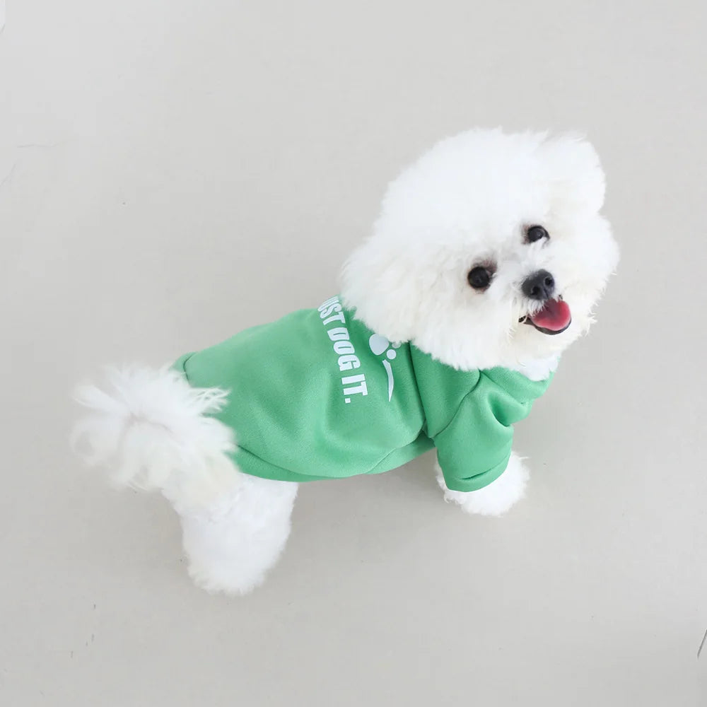 Roupas para animais de estimação de outono e inverno, bonito inglês carta veludo em torno do pescoço com capuz, super fofo gato e cachorro roupas universais, fashionab