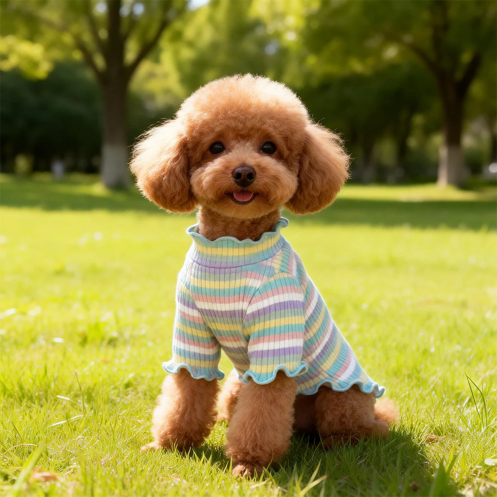 Roupas para Cães e Filhotes: Colete, Camiseta, Camisa, Vestido e Saia Fofos de Primavera, Camiseta de Base e Fantasia para Cães