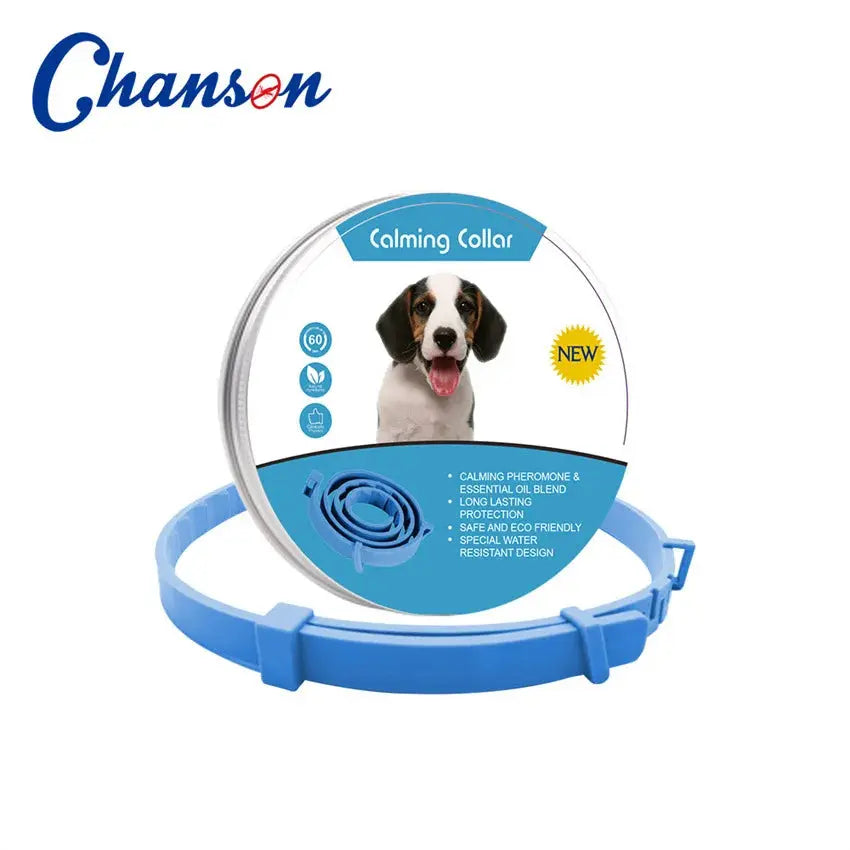 Dog1-orange-62cm