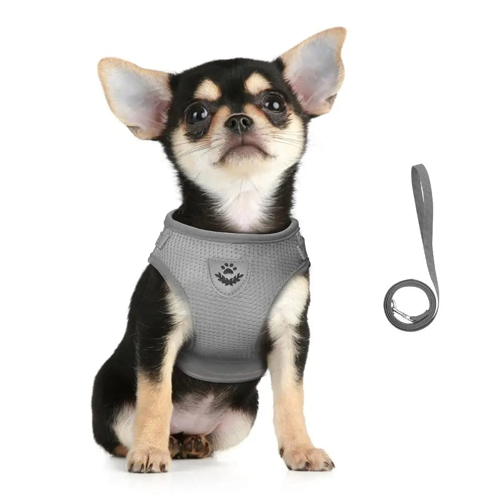 Conjunto de Coleira para Gato, Colete Ajustável Refletivo Anti-Fuga, Coleira para Cães Pequenos, Suprimentos para Filhotes e Gatos
