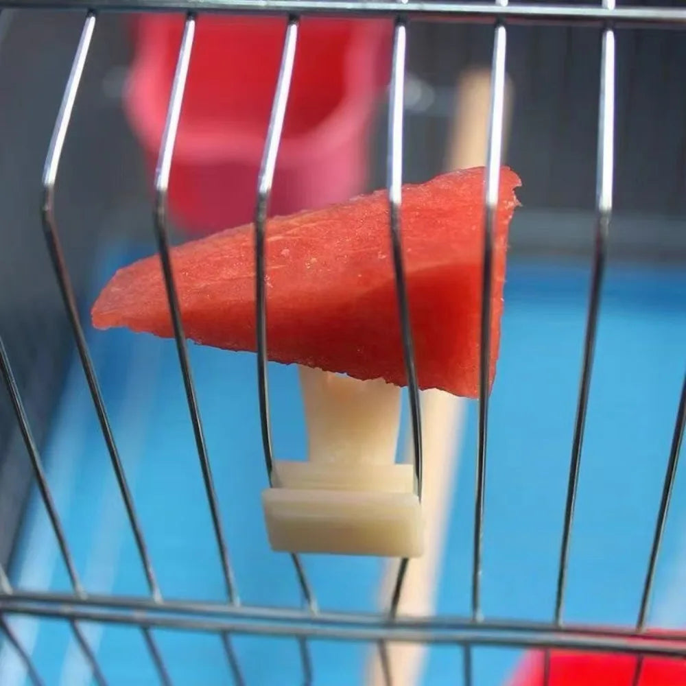 5 Garfos de Frutas Duráveis de Plástico para Gaiola de Pássaros, Acessórios para Alimentação de Papagaios, Suporte para Petiscos, Utensílios para Pássaros, Suprimentos Multifuncionais para Animais de Estimação