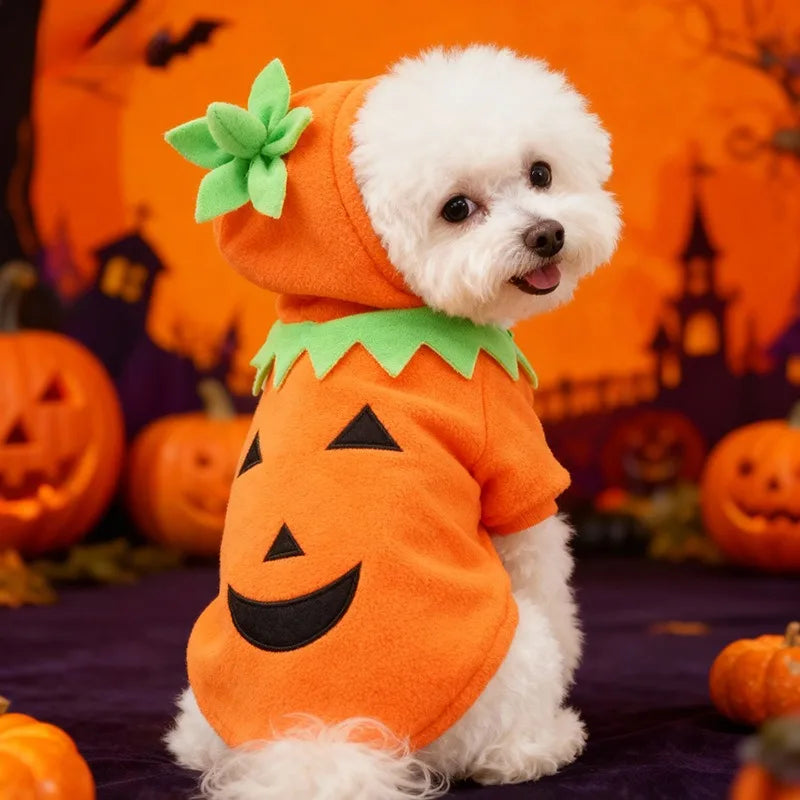 Fantasia de Abóbora para Cães, Oferta Imperdível de Halloween, Roupa Casual para Outono/Inverno.