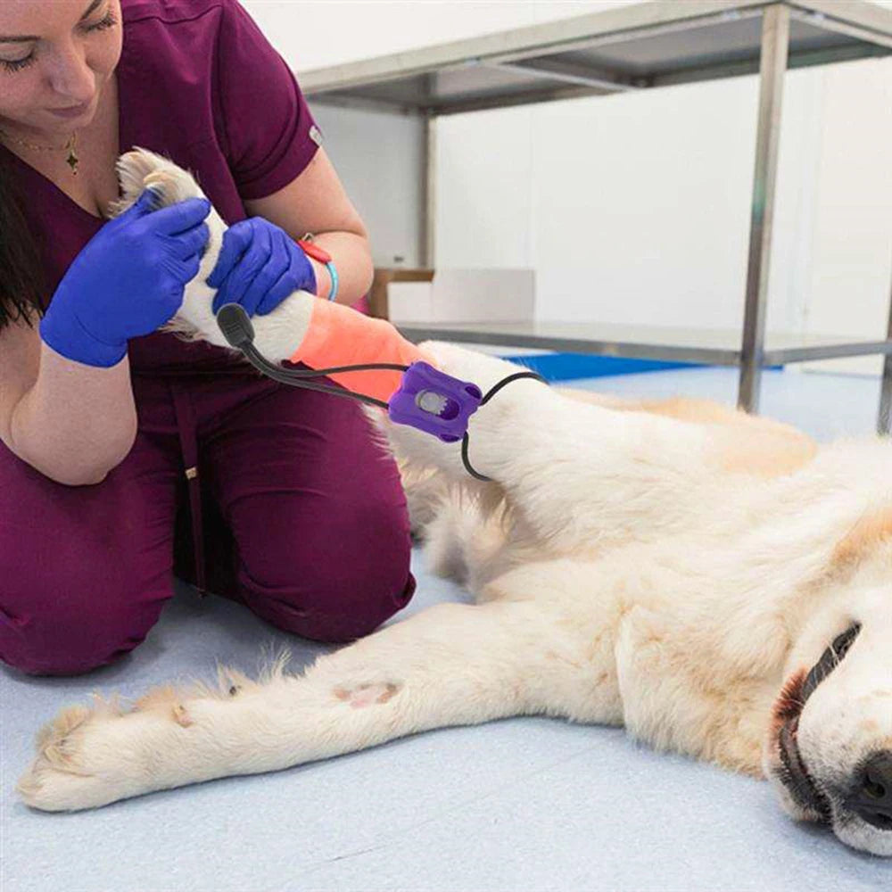 Torniquete plástico para animais de estimação, faixa de pressão de pulso animal, seguro e confiável, amantes de gatos e cães