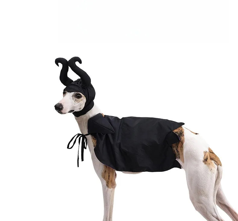 Fantasia de Halloween para Cães e Gatos, Capa com Capuz, Capa de Veludo da Maléfica, Ajustável, Vestuário para Festa de Cosplay, Brinquedo Engraçado de Bruxa para Animais de Estimação